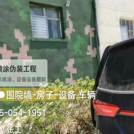 韶关数码迷彩漆施工